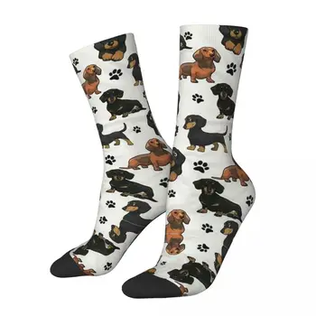 Мультяшные носки с изображением собаки таксы для женщин и мужчин, всесезонный товар, супер мягкие длинные носки, впитывающие пот