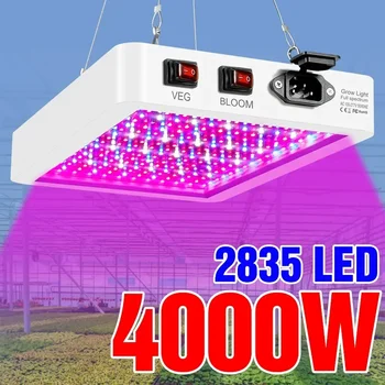 Новейший светодиодный светильник для выращивания растений Полного спектра мощностью 4000/5000ВТ IP65 Лампы для растений Гидропонная лампа Тепличные лампы Коробка для освещения роста цветов